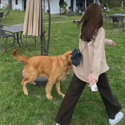 天堂圆舞曲